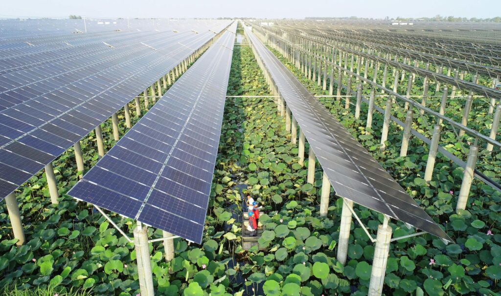 Solar panels on the banks of Gaoyou Lake in Anhui province, Foto: Alamy